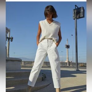 Everlane The Utility Barrel Pant